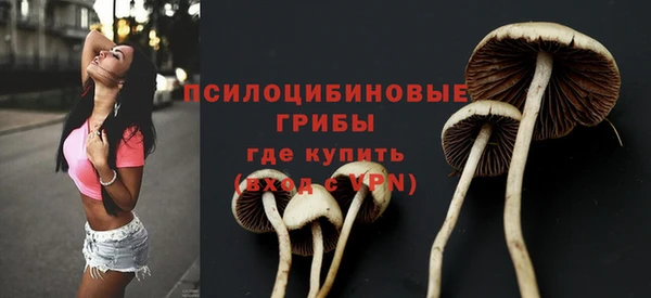 ALPHA PVP Алексин